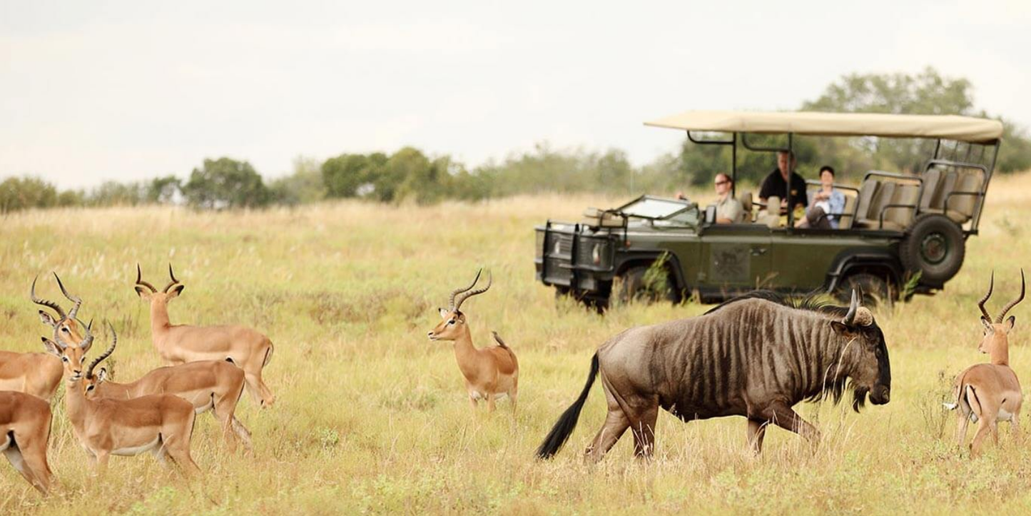 3 Night Classic Africa Safari – Kapama River Lodge