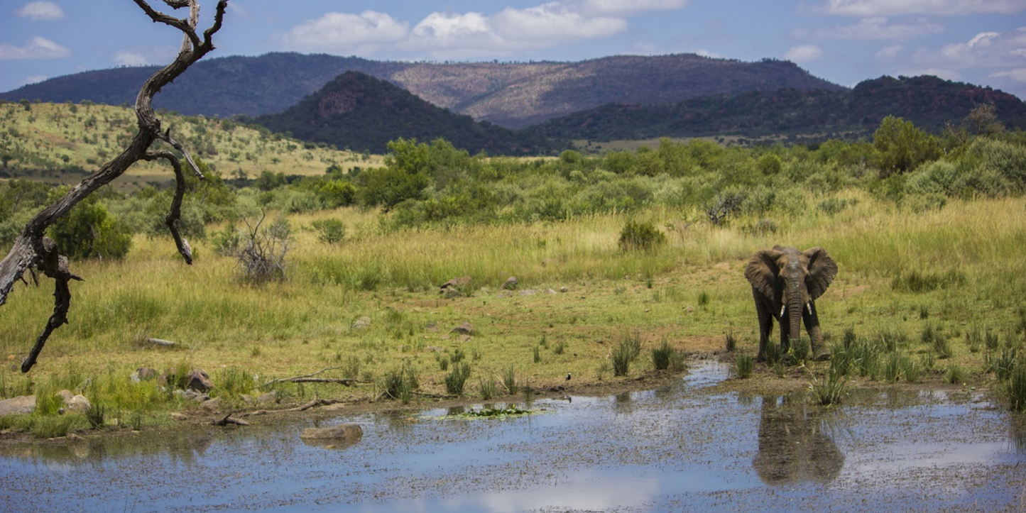 3 Night Sun City – Las Vegas of Africa Escape (The Palace of the Lost City)