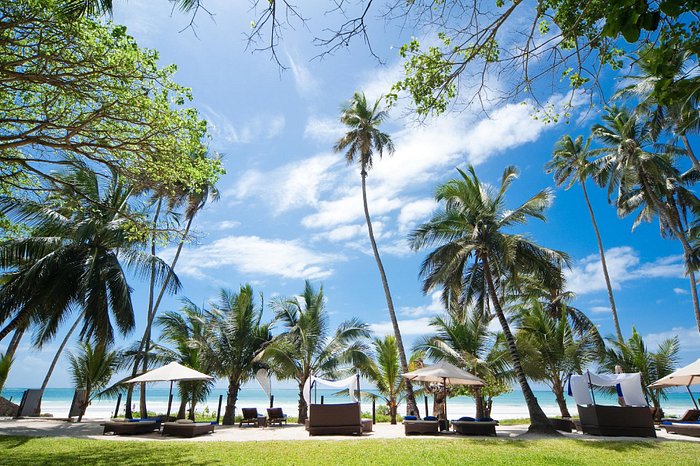 Almanara Luxury Villas