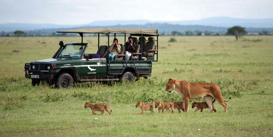 Classic Africa Safari