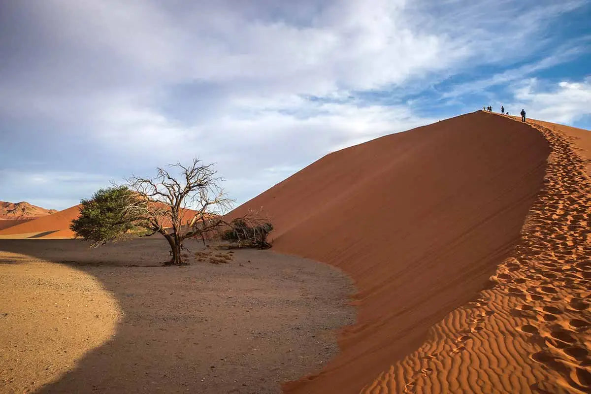 2 Nights and 3 Days Sossuvlei, Namibia Adventure