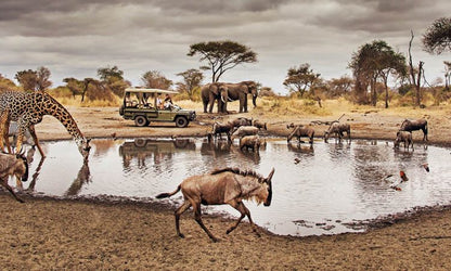 31 Nights Cape To Cairo African Safari