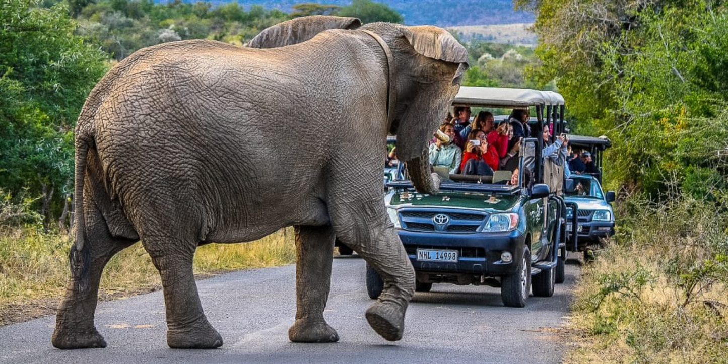 4-Night Zululand Wildlife & Safari – Lidiko Lodge & Hluhluwe Game Lodge