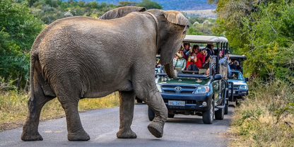 4-Night Zululand Wildlife & Safari – Lidiko Lodge & Hluhluwe Game Lodge