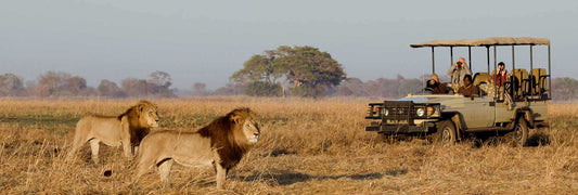 Zambia Classic Safari