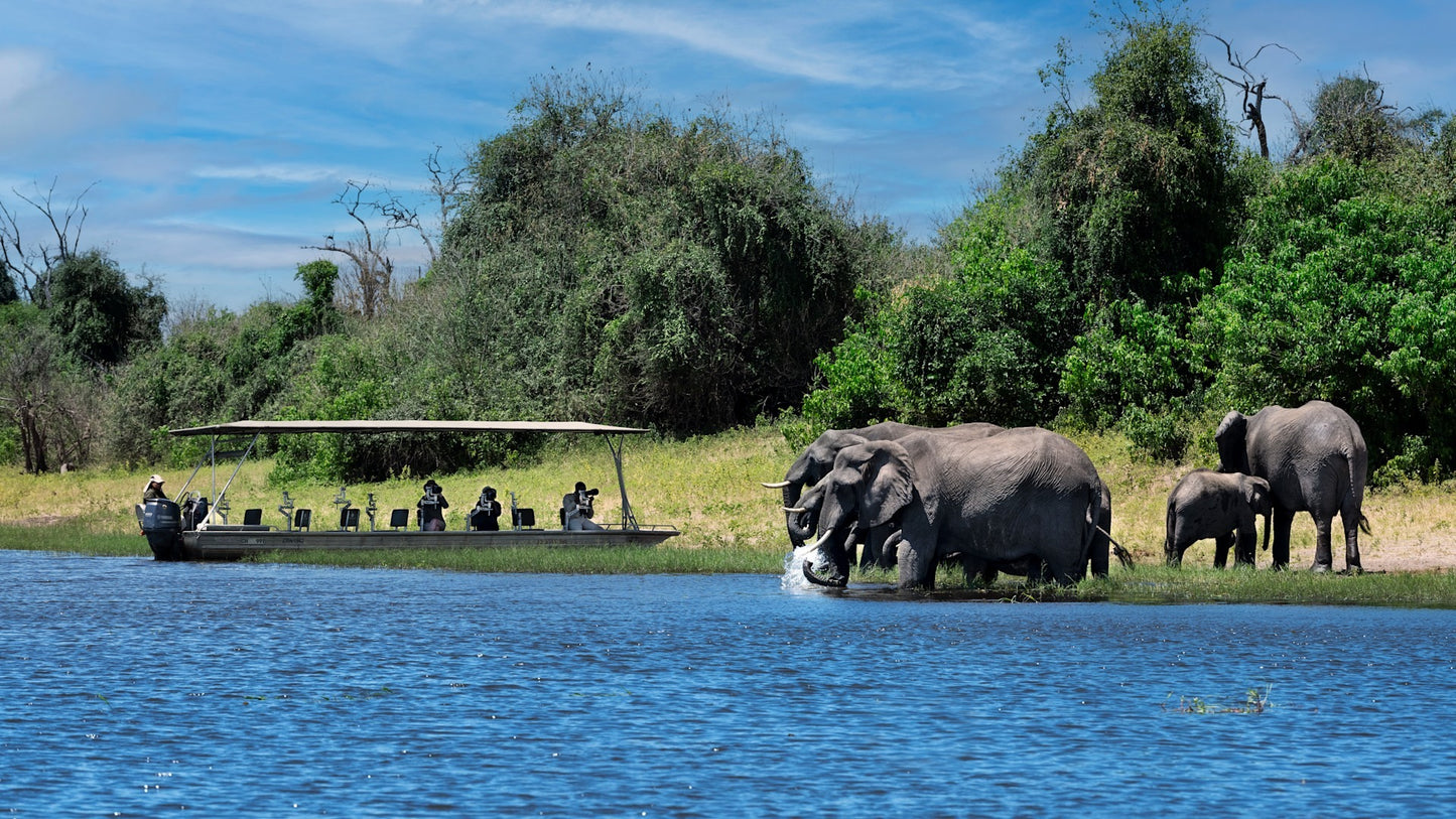 4 Nights Vic Falls & Chobe Safari