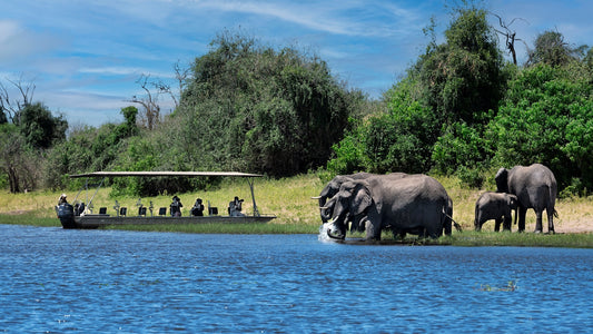 Luxury Safari in Botswana & Victoria Falls