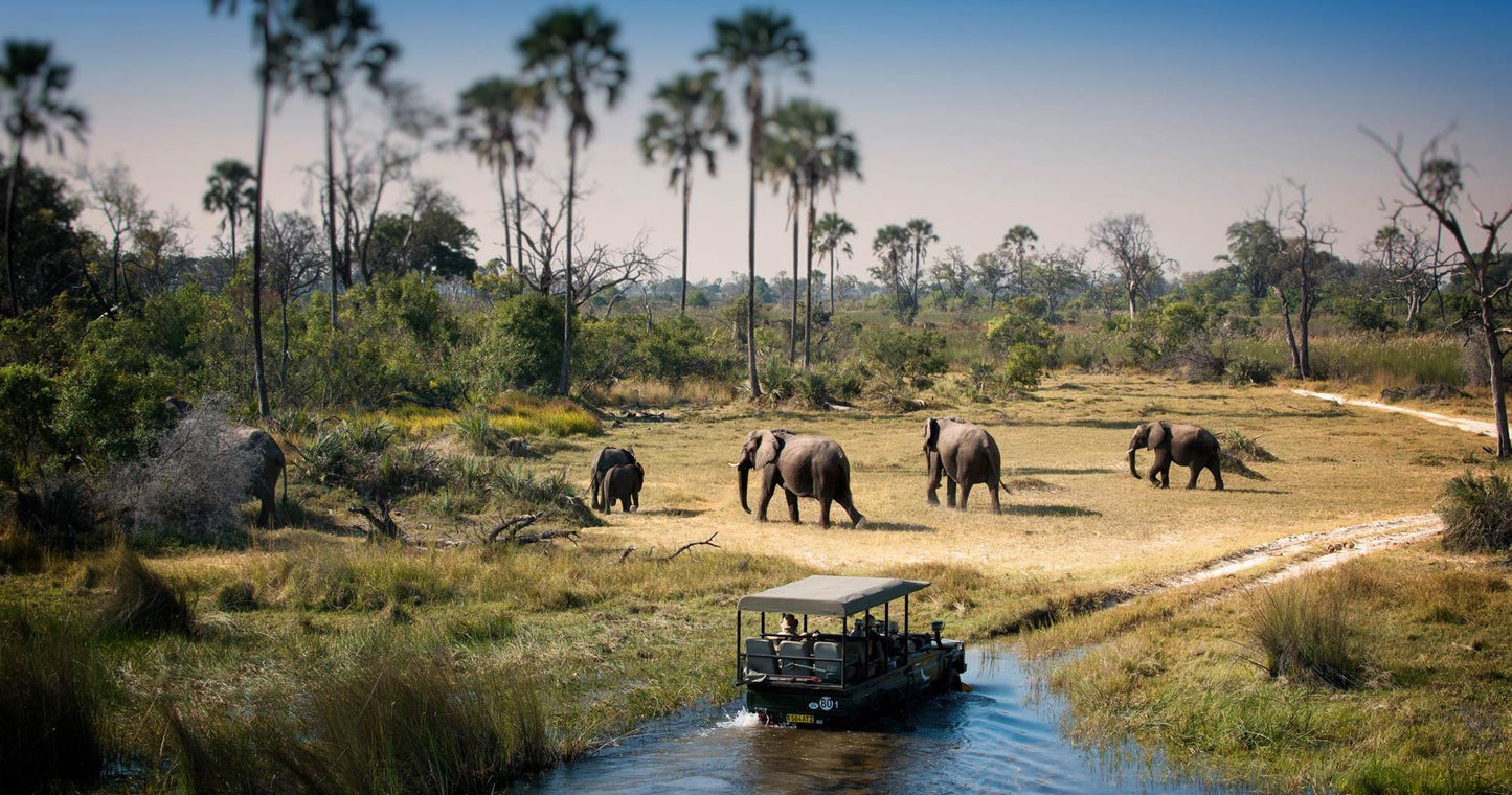 31 Nights Cape To Cairo African Safari