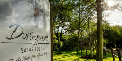 3 Night Classic Weekend Africa Safari – Dooringport Safari Lodge
