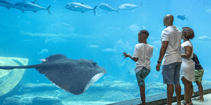 3-Night Family & Romance Escape – Durban & uShaka Marine Park