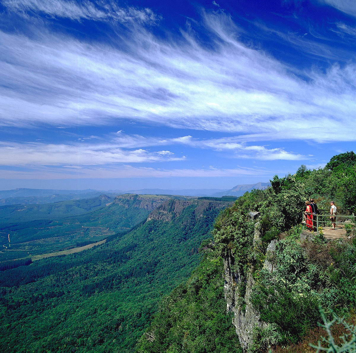 Panoramas Of Kruger Park