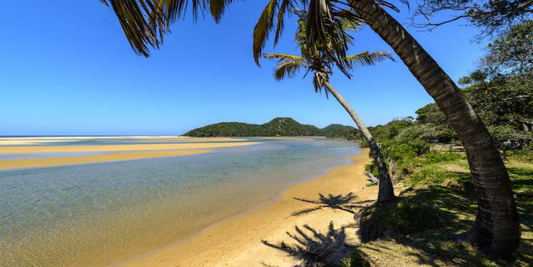 6-Night Conservation &amp; Relaxation Safari – Kosi Bay &amp; Hluhluwe Game Lodge