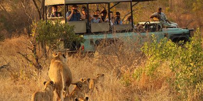 3 Night Classic Weekend Africa Safari – Dooringport Safari Lodge