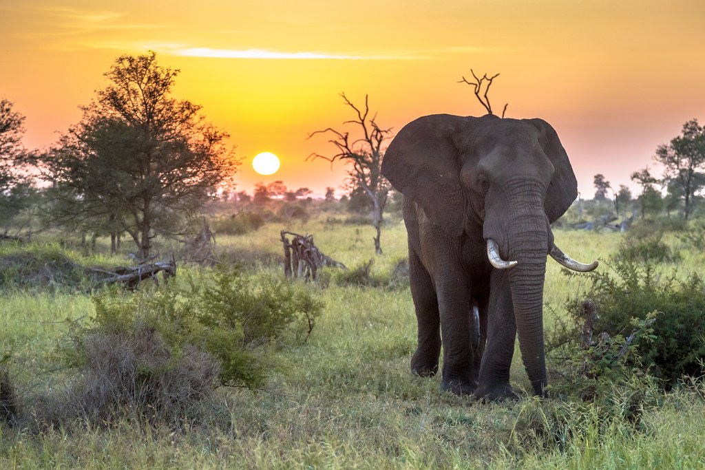 7 Nights Johannesburg, Kruger National Park & Cape Town