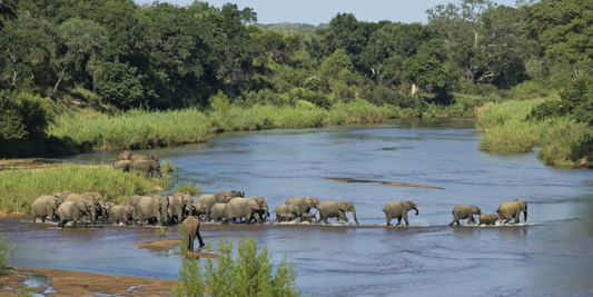 3 Night African Riverside Safari - Pestana Kruger Lodge