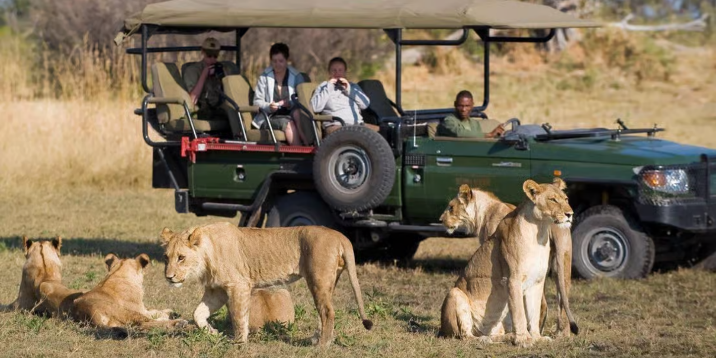 3 Night Classic Weekend Africa Safari – Dooringport Safari Lodge