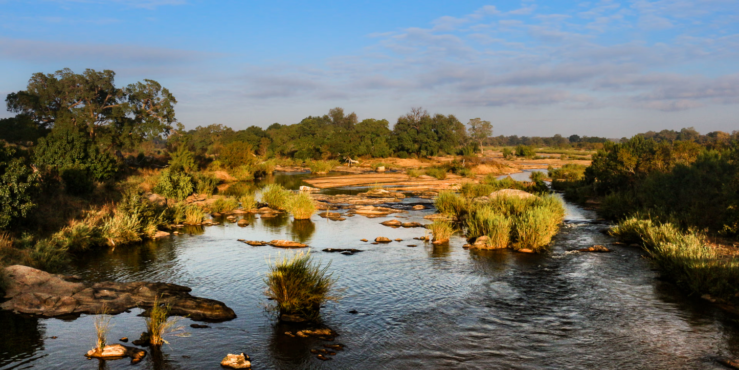 3 Night Classic Weekend Africa Safari – Dooringport Safari Lodge