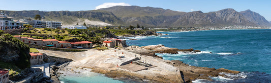 Hermanus