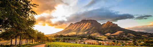 Stellenbosch