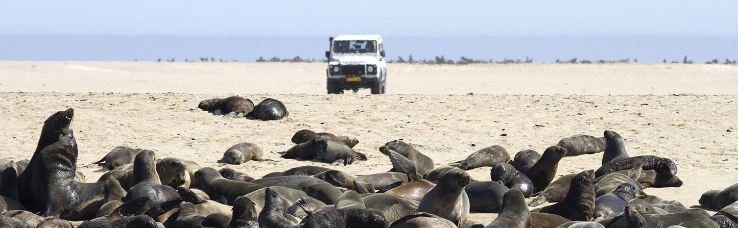 Swakopmund & Walvis Bay City Tour