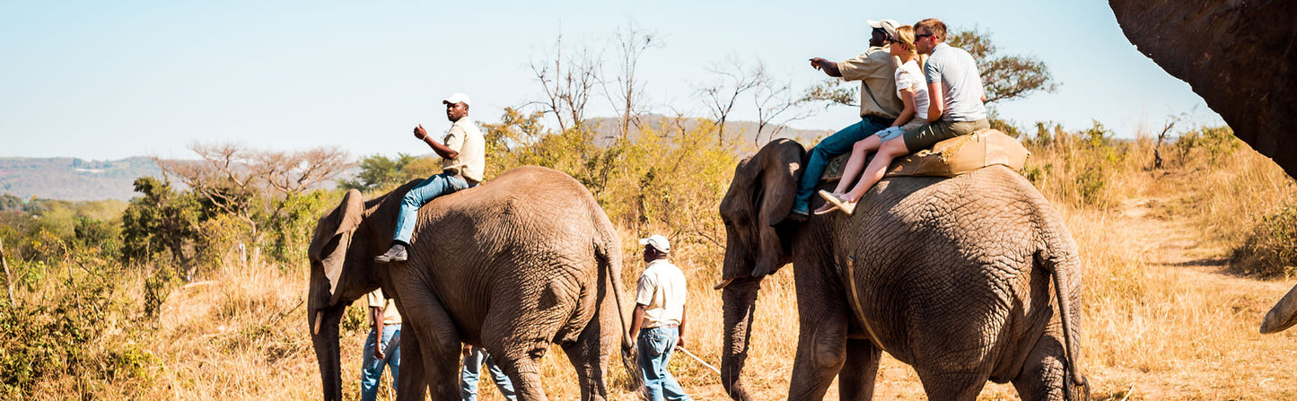 Walking Safaris in Mozambique