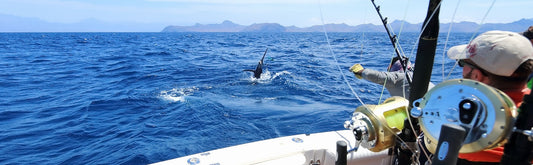 Fishing in Swakopmund