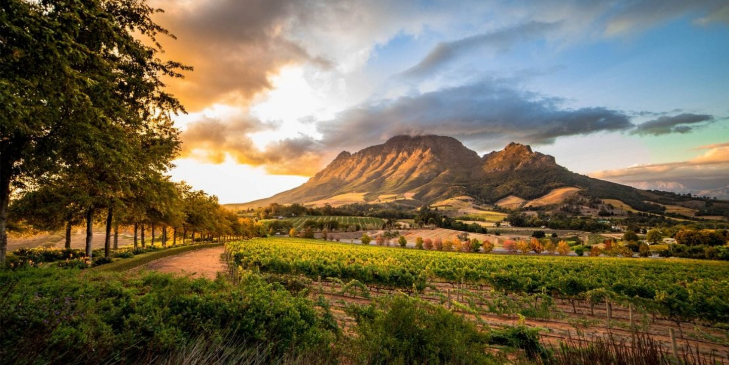 7 Nights Johannesburg, Kruger National Park & Cape Town (Free your Soul)