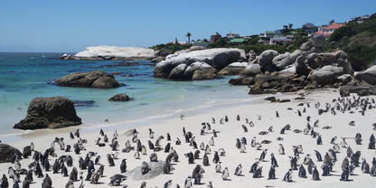 7 Nights Johannesburg, Kruger National Park & Cape Town (Free your Soul)