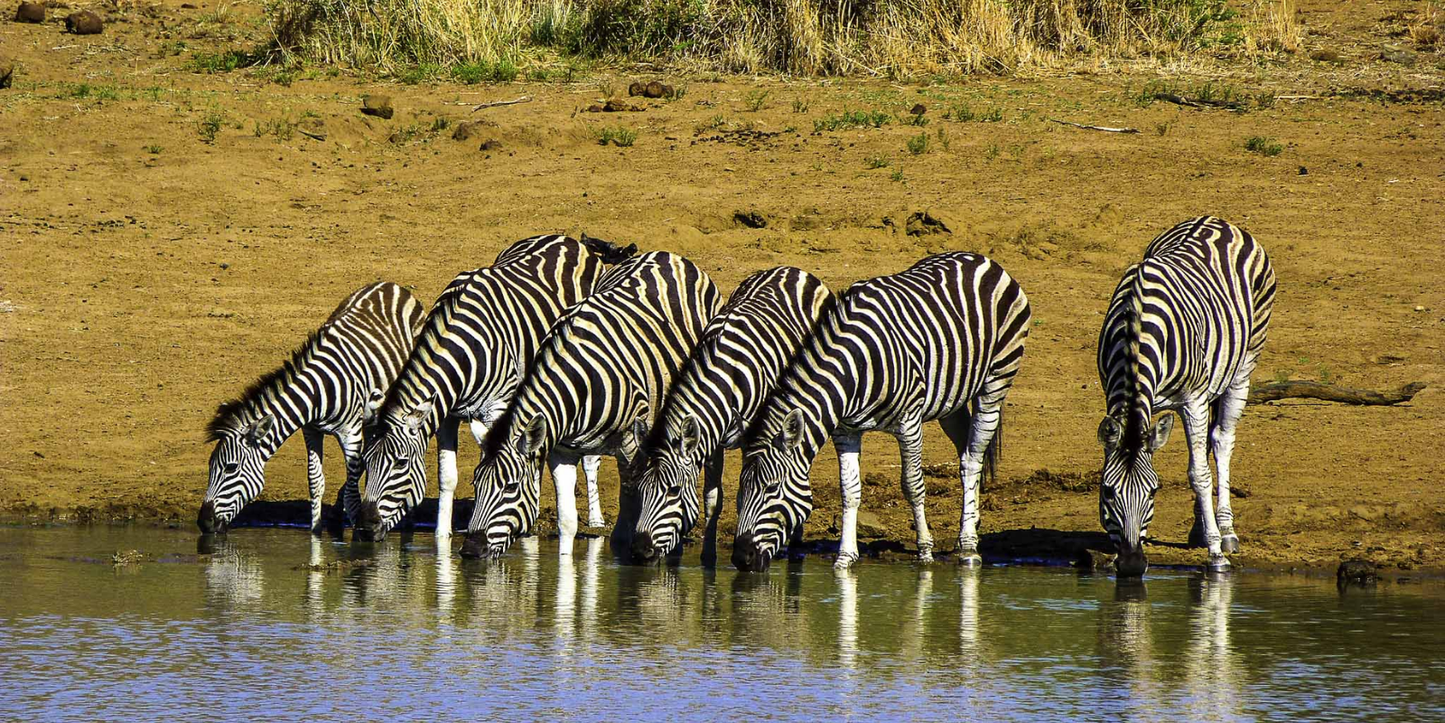 3 Night Sun City – Las Vegas of Africa Escape (Cascades)