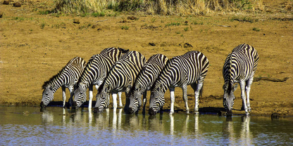 3 Night Sun City – Las Vegas of Africa Escape (Cascades)