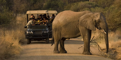 3 Night Sun City – Las Vegas of Africa Escape (Tambuti Lodge)