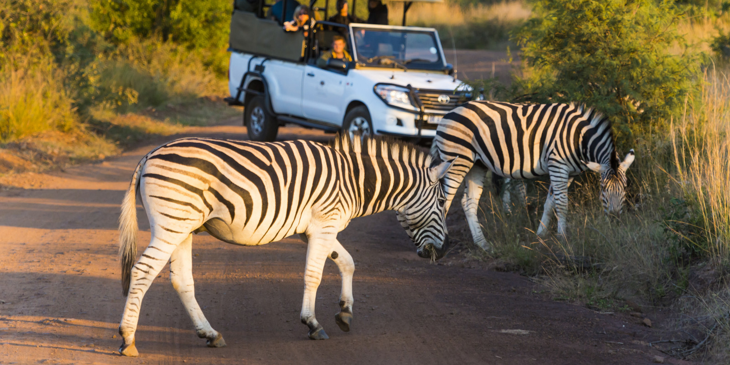 3 Night Sun City – Las Vegas of Africa Escape (Kwa Maritane Bush lodge)