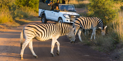 3 Night Sun City – Las Vegas of Africa Escape (Kwa Maritane Bush lodge)