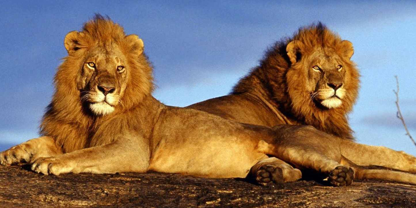 3 Night Sun City – Las Vegas of Africa Escape (Cascades)