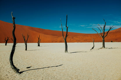 2 Nights & 3 Days Sossuvlei Adventure