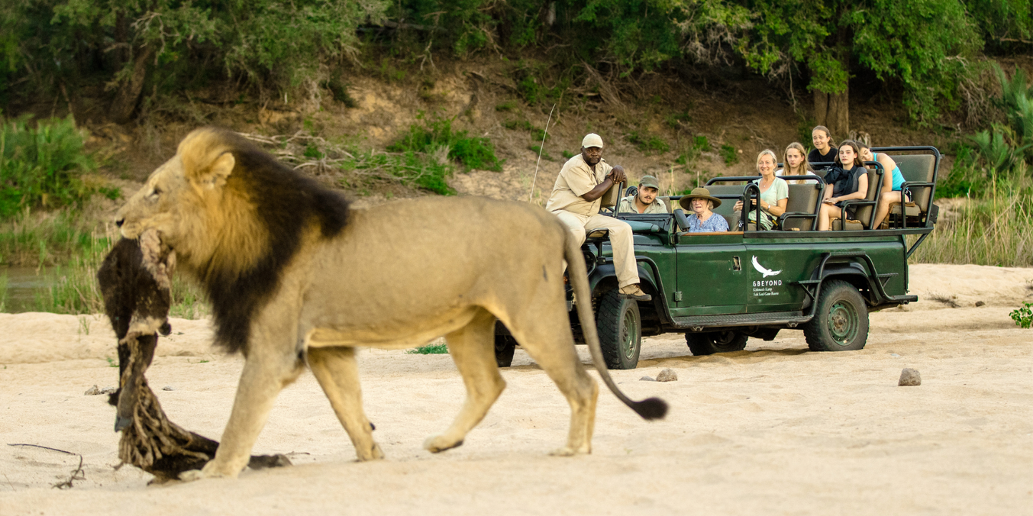 7 Nights Johannesburg, Kruger National Park & Cape Town (Free your Soul)