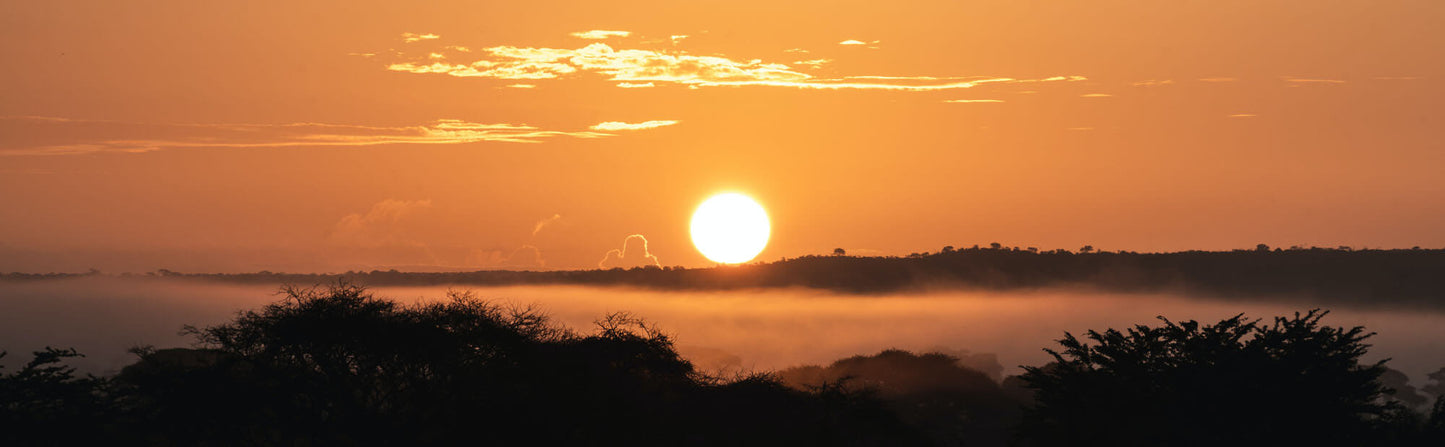 Sunset Ocean Safari Cape town