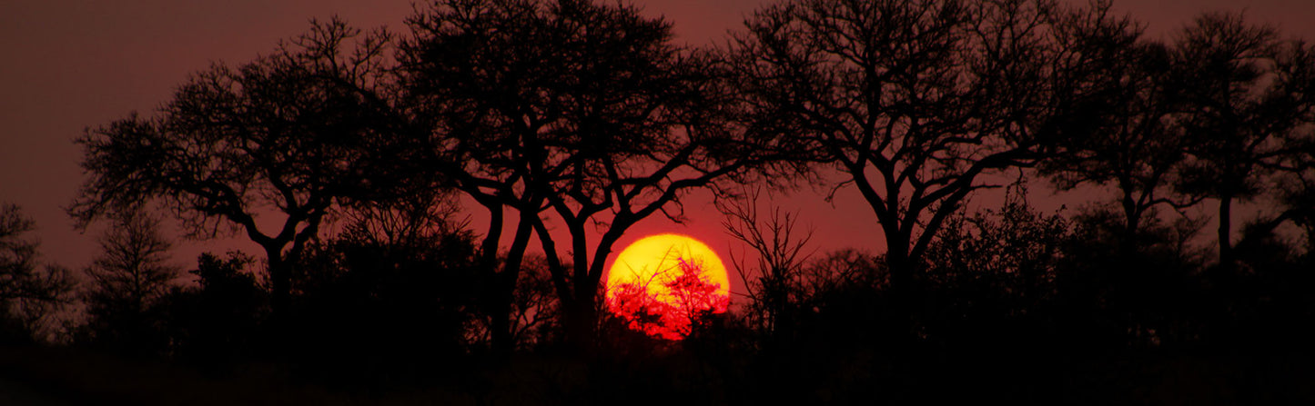 Sunset Cruise down the Zambezi River