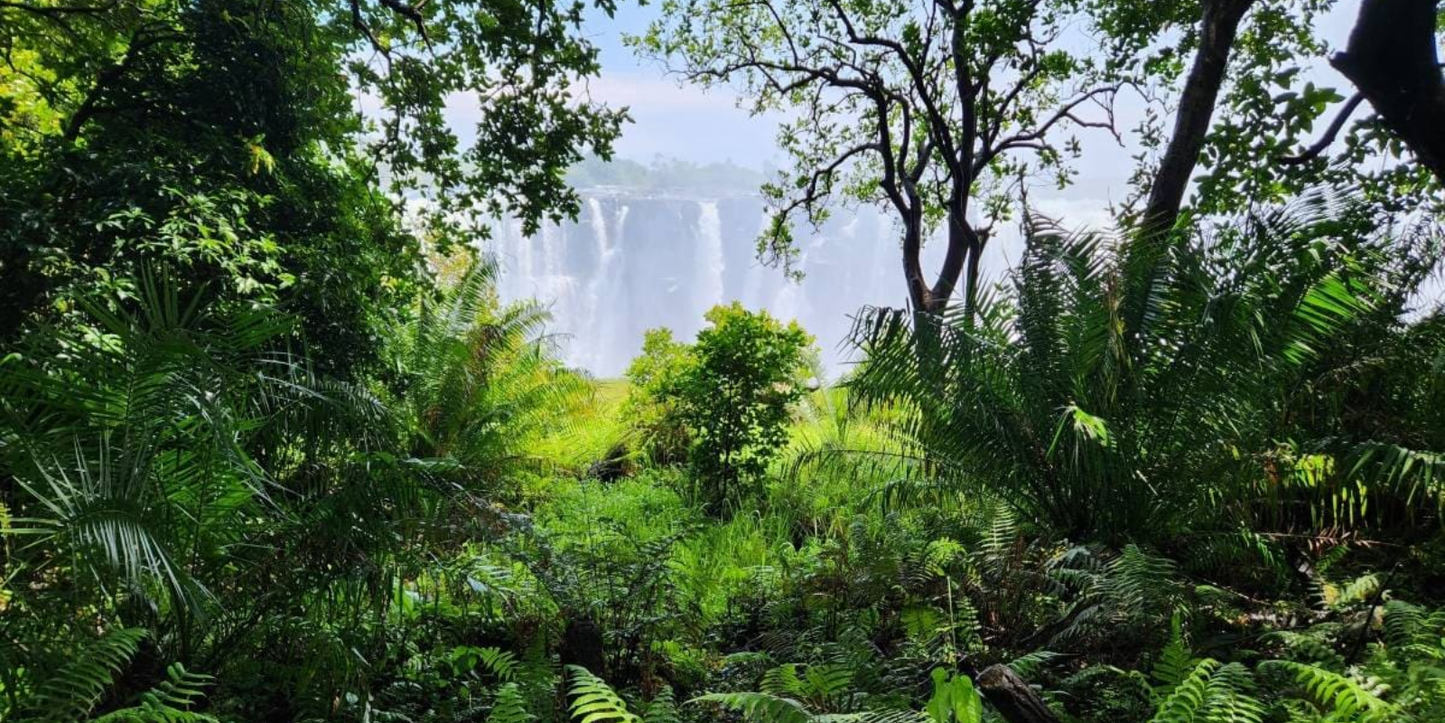 6 Nights Cape Town & Victoria Falls