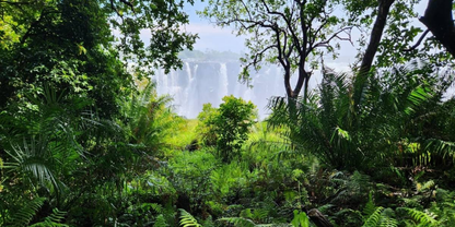 6 Nights Cape Town & Victoria Falls