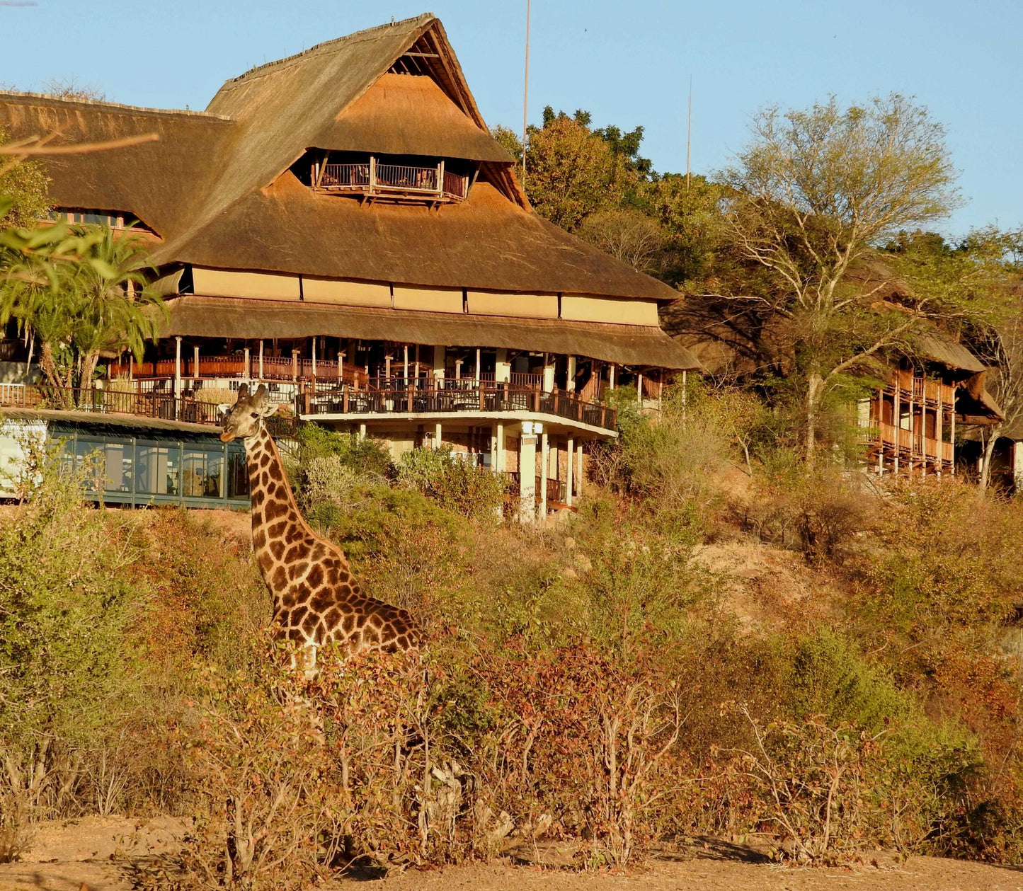 7 Nights & 7 Days Johannesburg to Johannesburg