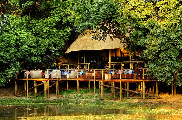 8 Nights & 9 Days in Zambia