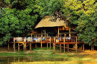 8 Nights & 9 Days in Zambia