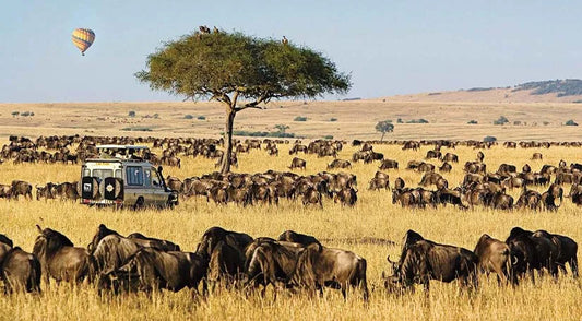 Kenya and Tanzania Great Wilderness Safari