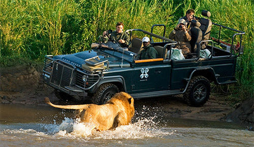 7 Nights Johannesburg, Kruger National Park & Cape Town