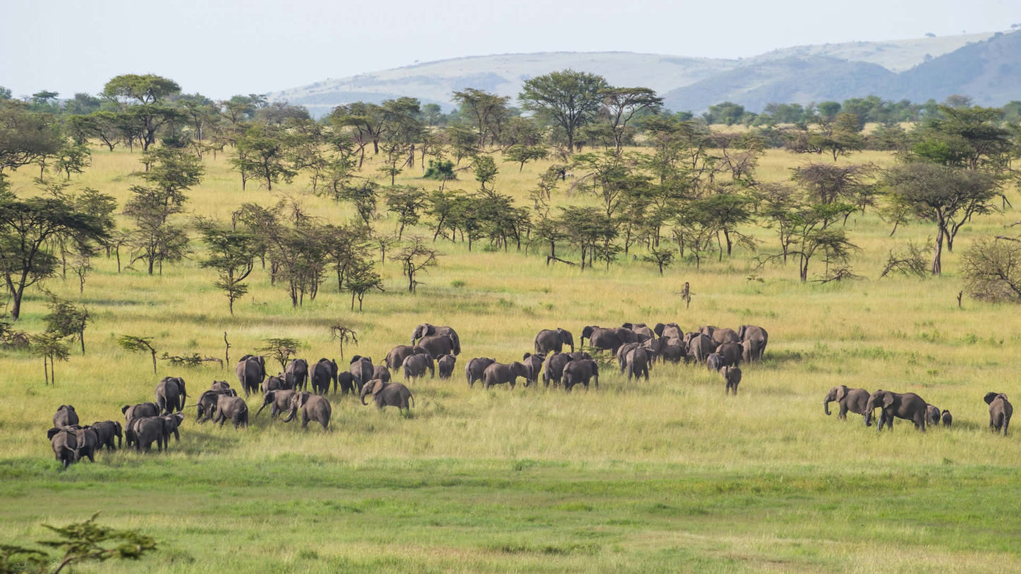 Treasures of Tanzania Safari
