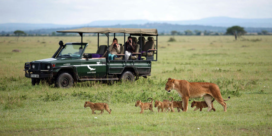 South Africa Family Safari