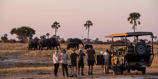 Unforgettable Zimbabwe Safari